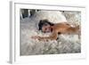 La Piscine 1968 Directed by Jacques Deray Romy Schneider-null-Framed Photo