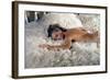 La Piscine 1968 Directed by Jacques Deray Romy Schneider-null-Framed Photo