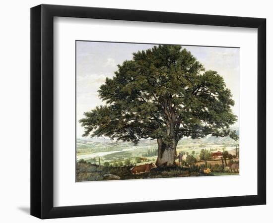 La Plaine D'Annecy-Chene Le Veterant Des Alpes-Jean Jacques Rousseau-Framed Giclee Print