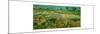 La plaine d'Auvers. Oil (June 1890) 50 x 101 cm.-VINCENT VAN GOGH-Mounted Giclee Print