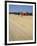 La Planche (Boadwalk) and Beach, Deauville, Calvados, Normandy, France-David Hughes-Framed Photographic Print