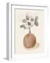 La Planta I-Victoria Barnes-Framed Art Print