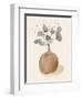 La Planta I-Victoria Barnes-Framed Art Print