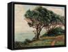 La Pointe De La Pierriere, St. Palais-Armand Guillaumin-Framed Stretched Canvas