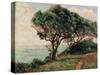 La Pointe De La Pierriere, St. Palais-Armand Guillaumin-Stretched Canvas