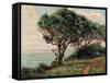 La Pointe De La Pierriere, St. Palais-Armand Guillaumin-Framed Stretched Canvas