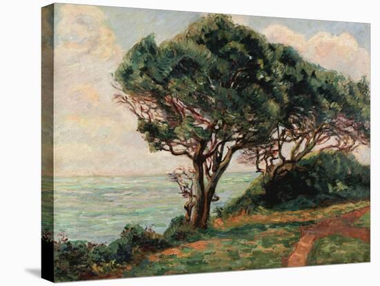 La Pointe De La Pierriere, St. Palais-Armand Guillaumin-Stretched Canvas