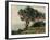 La Pointe De La Pierriere, St. Palais-Armand Guillaumin-Framed Giclee Print