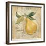 La Poire-Silvia Vassileva-Framed Art Print