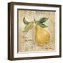 La Poire-Silvia Vassileva-Framed Art Print