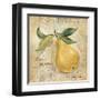 La Poire-Silvia Vassileva-Framed Art Print