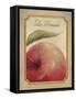 La Pomme-Delphine Corbin-Framed Stretched Canvas