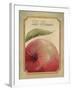 La Pomme-Delphine Corbin-Framed Art Print