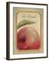 La Pomme-Delphine Corbin-Framed Art Print