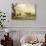 La prairie-Paulus Potter-Giclee Print displayed on a wall