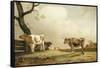 La prairie-Paulus Potter-Framed Stretched Canvas