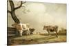 La prairie-Paulus Potter-Stretched Canvas