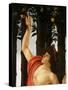 La Primavera (Spring,) Detail of Mercury Holding Wand to Orange Tree-Sandro Botticelli-Stretched Canvas