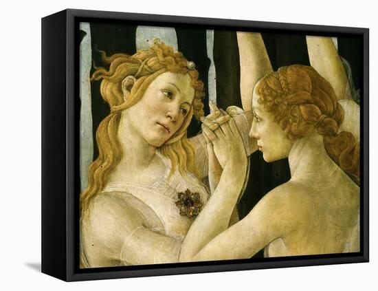 La Primavera (Spring) Detail of Two of the Three Graces c.1475-Sandro Botticelli-Framed Stretched Canvas