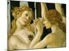 La Primavera (Spring) Detail of Two of the Three Graces c.1475-Sandro Botticelli-Mounted Giclee Print