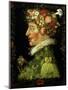 La Primavera (The Spring), 1573-Giuseppe Arcimboldo-Mounted Giclee Print