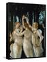 La Primavera, the Three Graces-Sandro Botticelli-Framed Stretched Canvas