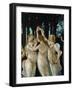 La Primavera, the Three Graces-Sandro Botticelli-Framed Giclee Print