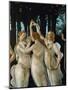 La Primavera, the Three Graces-Sandro Botticelli-Mounted Giclee Print