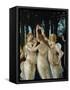 La Primavera, the Three Graces-Sandro Botticelli-Framed Stretched Canvas