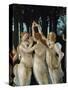 La Primavera, the Three Graces-Sandro Botticelli-Stretched Canvas