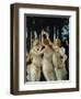 La Primavera, the Three Graces-Sandro Botticelli-Framed Giclee Print