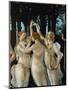 La Primavera, the Three Graces-Sandro Botticelli-Mounted Giclee Print