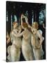 La Primavera, the Three Graces-Sandro Botticelli-Stretched Canvas