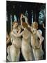 La Primavera, the Three Graces-Sandro Botticelli-Mounted Giclee Print
