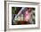 La Princesa Night Scene, San Juan, Puerto Rico-George Oze-Framed Photographic Print