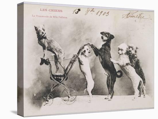 "La Promenade de Mademoiselle Follette", Four Dogs Take a Fifth for a Ride in a Pram- Like Vehicle-null-Stretched Canvas