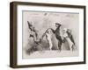 "La Promenade de Mademoiselle Follette", Four Dogs Take a Fifth for a Ride in a Pram- Like Vehicle-null-Framed Photographic Print