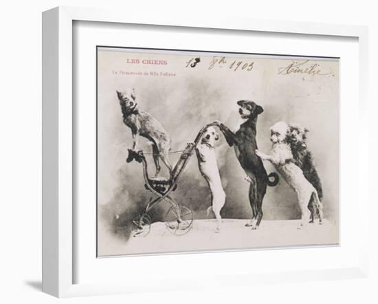 "La Promenade de Mademoiselle Follette", Four Dogs Take a Fifth for a Ride in a Pram- Like Vehicle-null-Framed Photographic Print