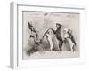 "La Promenade de Mademoiselle Follette", Four Dogs Take a Fifth for a Ride in a Pram- Like Vehicle-null-Framed Photographic Print