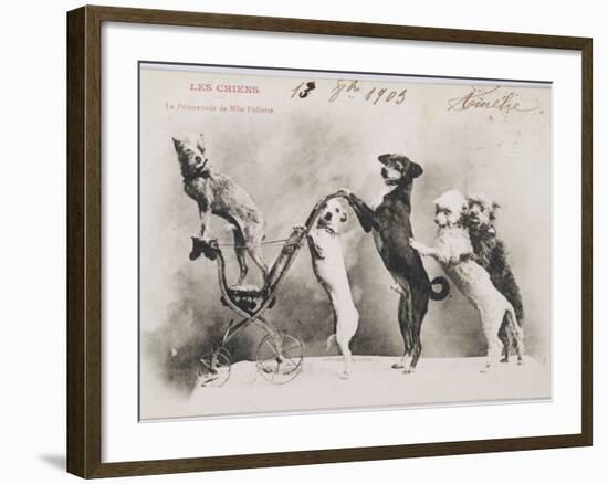 "La Promenade de Mademoiselle Follette", Four Dogs Take a Fifth for a Ride in a Pram- Like Vehicle-null-Framed Photographic Print