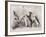 "La Promenade de Mademoiselle Follette", Four Dogs Take a Fifth for a Ride in a Pram- Like Vehicle-null-Framed Photographic Print