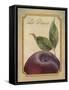 La Prune-Delphine Corbin-Framed Stretched Canvas