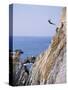 La Quebrada, Cliff Diver, Acapulco, Mexico-Steve Vidler-Stretched Canvas