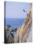 La Quebrada, Cliff Diver, Acapulco, Mexico-Steve Vidler-Stretched Canvas