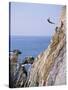 La Quebrada, Cliff Diver, Acapulco, Mexico-Steve Vidler-Stretched Canvas