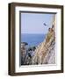 La Quebrada, Cliff Diver, Acapulco, Mexico-Steve Vidler-Framed Photographic Print