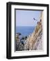 La Quebrada, Cliff Diver, Acapulco, Mexico-Steve Vidler-Framed Photographic Print