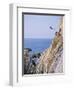 La Quebrada, Cliff Diver, Acapulco, Mexico-Steve Vidler-Framed Photographic Print