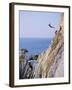 La Quebrada, Cliff Diver, Acapulco, Mexico-Steve Vidler-Framed Photographic Print