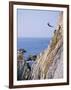 La Quebrada, Cliff Diver, Acapulco, Mexico-Steve Vidler-Framed Photographic Print